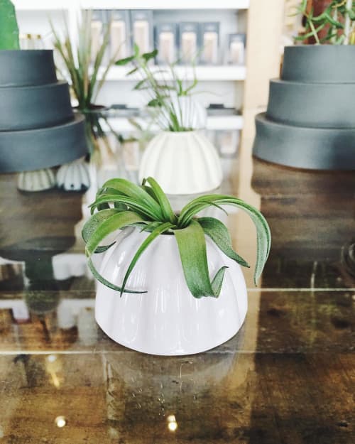 Bud Vases by cone10 at west elm, Boston Wescover Planters & Vases