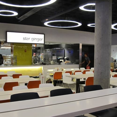 Custom Pendants | Pendants by ILEX Architectural Lighting | University of Massachusetts Amherst in Amherst