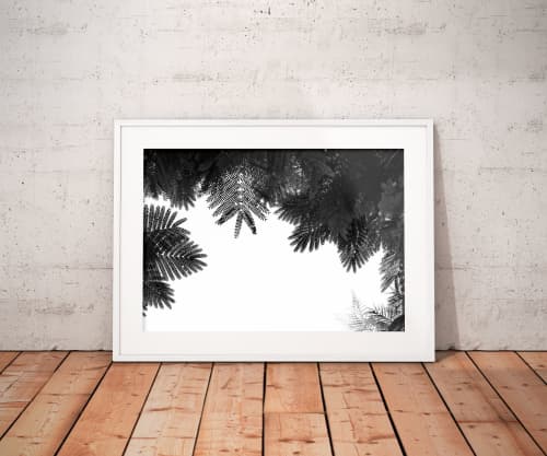 The Tree Top II | Limited Edition Print | Photography by Tal Paz-Fridman | Limited Edition Photography. Item composed of paper compatible with country & farmhouse and coastal style