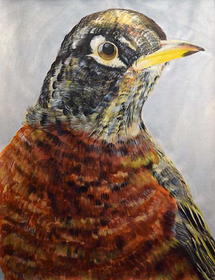 Robin, Fox, Fox & Kit and Sparrow | Oil And Acrylic Painting in Paintings by Natalie Jo Wright | Wendigo in Stoughton. Item made of canvas with paper