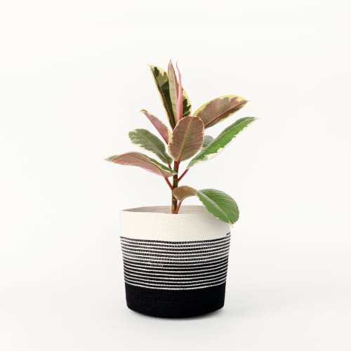 Black and White Half Stripe Bucket | Plants & Flowers by MOkun. Item made of cotton