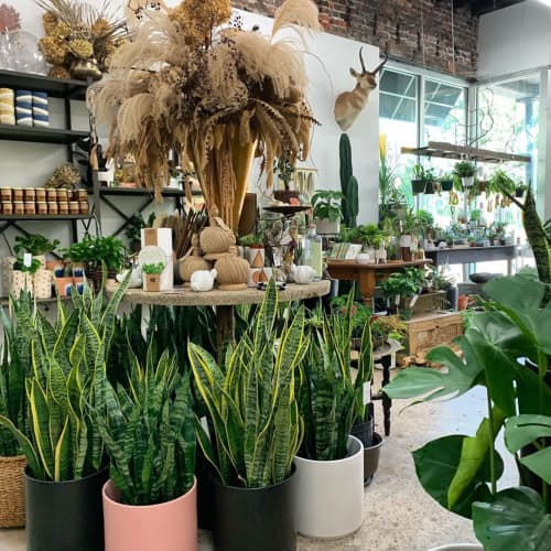 Cylinders by Revival ceramics | Planter in Vases & Vessels by LBE Design | Grounded Plant and Floral Co in Indianapolis. Item made of ceramic