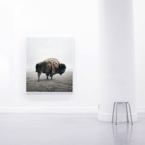 Be Here Bison | Prints by Alice Zilberberg | Los Angeles in Los Angeles. Item made of paper
