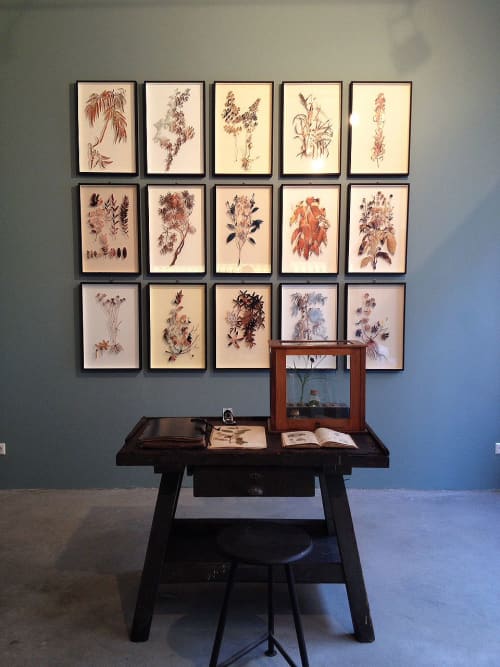 Plant 73 - Box Framed Botanical Cutout, Vintage Centerfold | Mixed Media by Paolo Giardi | room capacity in Berlin