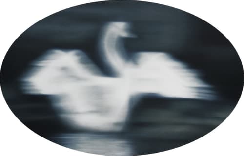 "To Be Free" | Oil And Acrylic Painting in Paintings by Laura Wood. Item composed of canvas