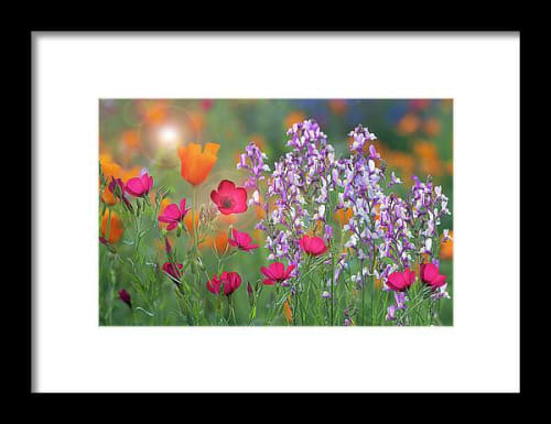 Colors of Spring | Prints by Vanessa Thomas. Item composed of paper