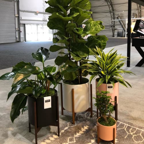 Revival Ceramics Planters | Vases & Vessels by LBE Design | World Market Center Las Vegas in Las Vegas. Item made of ceramic