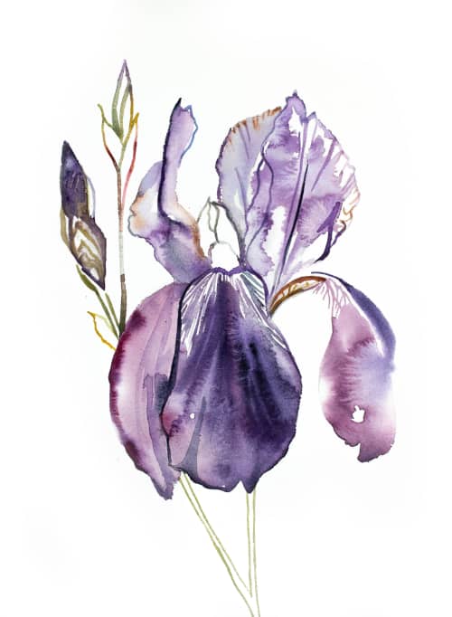Iris No. 126 : Original Watercolor Painting | Paintings by Elizabeth Beckerlily bouquet. Item composed of paper compatible with minimalism and contemporary style
