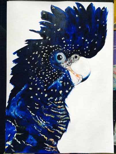 Black Cockatoo by HEYLIE MORRIS | Wescover Paintings