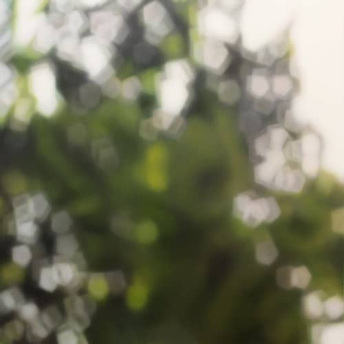 "Through The Leaves" | Oil And Acrylic Painting in Paintings by Laura Wood | Four Seasons Hotel Toronto in Toronto. Item composed of canvas and synthetic
