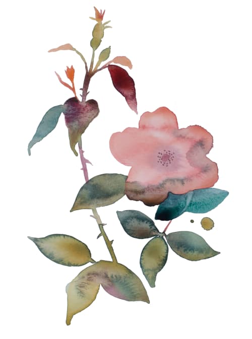 Rose Study No. 78 : Original Watercolor Painting | Paintings by Elizabeth Beckerlily bouquet. Item made of paper compatible with boho and minimalism style