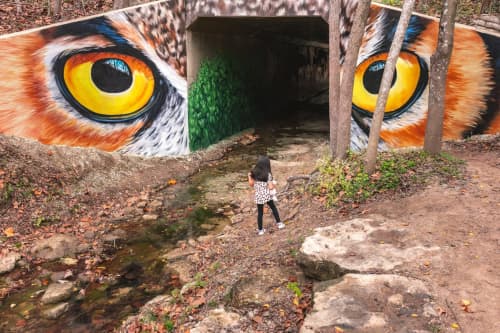 The eyes of an owl | Street Murals by Anat Ronen | Houston Arboretum & Nature Center in Houston