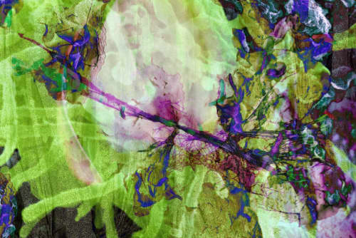 BIOPHILIA 1 | Prints by Costas Picadas. Item made of paper with synthetic