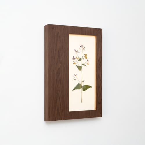 Herbarium Mini: Lunaria Annua - Wall Light Sculpture | Wall Sculpture in Wall Hangings by Mateusz Wappa Design & Research. Item made of birch wood & glass compatible with minimalism and modern style