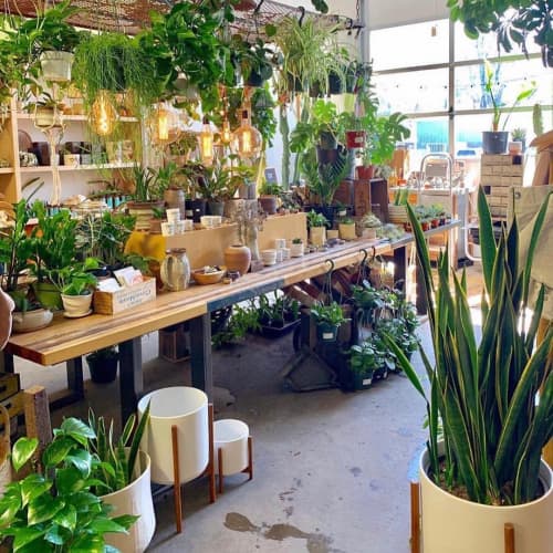 Ceramic Cylinder Planter | Vases & Vessels by LBE Design | Sierra Water Gardens in Reno. Item composed of ceramic