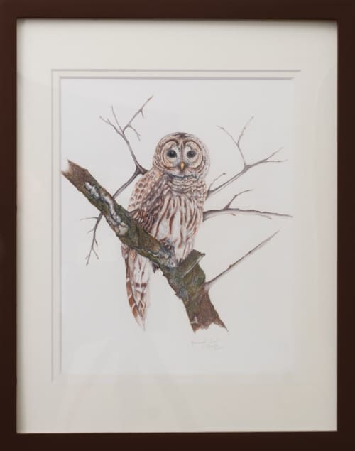 Barred Owl | Drawings by Stacie Dale. Item composed of paper compatible with country & farmhouse and rustic style