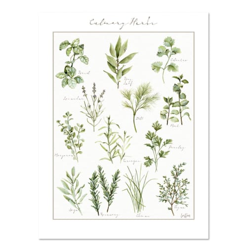 Culinary Herb Art Print - Botanical Watercolor Kitchen Art by Jennifer ...