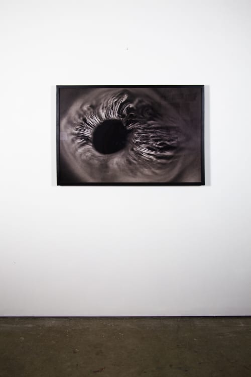 Agaricales Series | Prints by Virginia Kistler. Item composed of paper