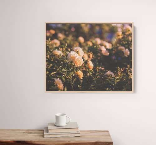 Misty Roses | Photography by Kara Suhey Print Shop. Item composed of paper