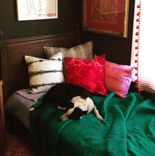 various one off pillows by MYER SF Wescover Pillows