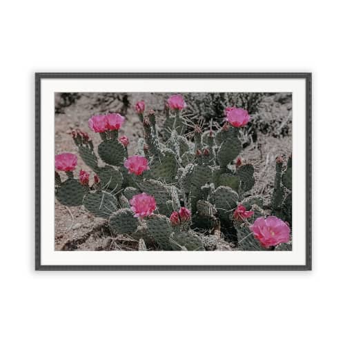 IN BLOOM | Southwest Wall Art | Yant Flat, UT | Photography by Jess Ansik. Item composed of paper in boho or minimalism style
