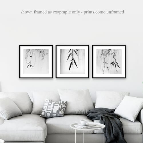 Willow Print Set of 3, Minimalist Nature Photography | Photography by Nicholas Bell Photography. Item composed of paper compatible with minimalism and contemporary style
