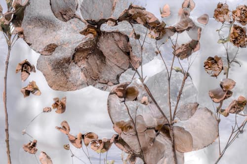POSY (18"x12" — 72"x48") | Surreal Gardens | Wall Art | Digital Art in Art & Wall Decor by Jess Ansik. Item composed of paper compatible with boho and contemporary style