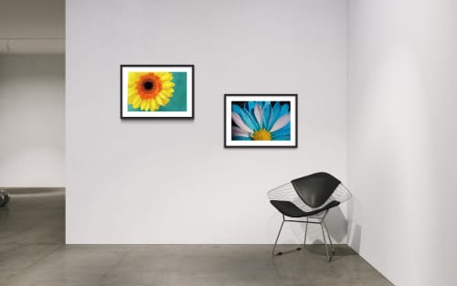 Chrysanthemum and Vibrance | Photography by Vanessa Thomas | Bank of America Mortgage in Pleasanton. Item made of paper