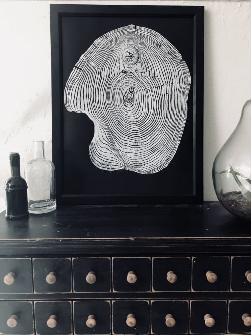 Mulberry Tree Ring Print on Black Paper | Prints by Erik Linton. Item composed of paper