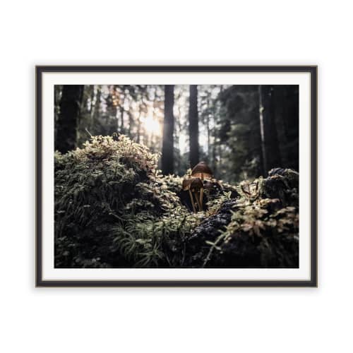 FOREST FUNGI (12"x9" - 48"x36") | Fine Art Print | Photography by Jess Ansik. Item made of paper compatible with boho and contemporary style