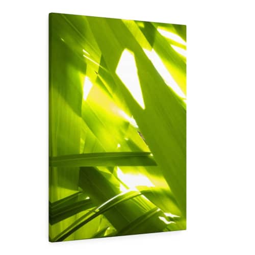 Sunkissed_3608  --  the life-giving energy of nature | Prints in Paintings by Petra Trimmel. Item made of canvas with paper