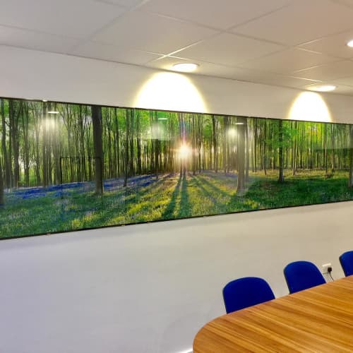 Micheldever Wood Panoramic | Wall Hangings by Richard Osbourne | BMI The Alexandra Hospital in Cheadle