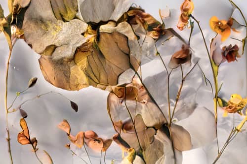 HONEYSUCKLE (18"x12" — 72"x48") | Surreal Gardens | Wall Art | Digital Art in Art & Wall Decor by Jess Ansik. Item composed of metal & paper compatible with boho and mid century modern style