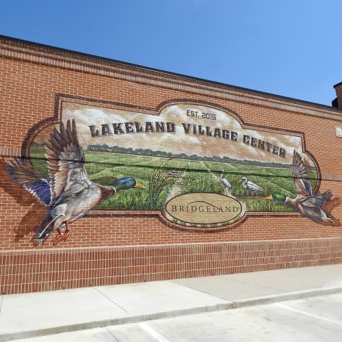 Lakeland ducks | Murals by Anat Ronen | Lakeland Village Center in Cypress