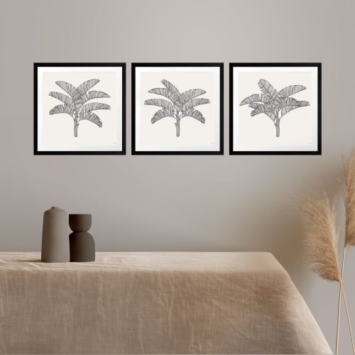 Tropical Plantation - 1 & 2 & 3 - Black - Framed Art | Prints by Patricia Braune. Item made of paper