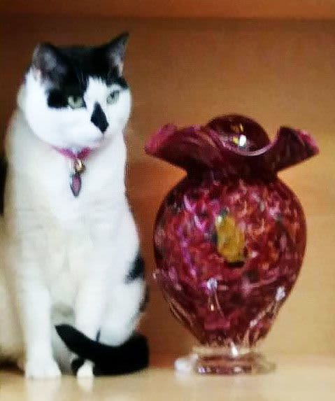 "Dried Rose" ~ Hand Blown Glass Urn | Vases & Vessels by White Elk's Visions in Glass - Glass Artisan, Marty White Elk Holmes & COO, Jo Pierce