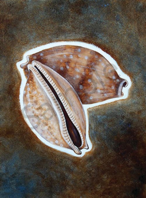 Seashell 3 | Prints by LaShonda Scott Robinson. Item composed of wood and canvas in contemporary or traditional style