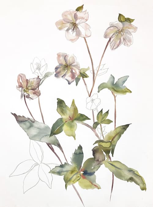 Hellebore No. 34 . Original Watercolor Painting | Paintings by Elizabeth Becker. Item made of paper compatible with minimalism and contemporary style