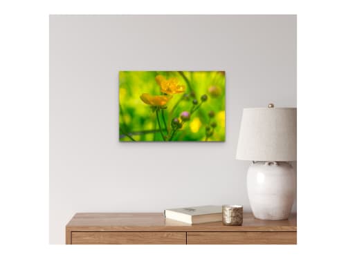 Tall Buttercup Digital-only offering exclusively for Trade | Photography by Caroyl La Barge›. Item made of canvas with paper works with contemporary & country & farmhouse style