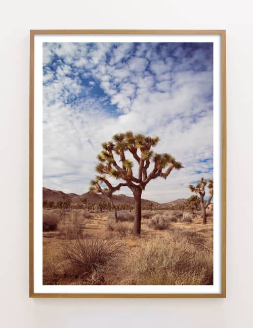 Joshua Tree No. 9 (Ltd Edition) | Photography by Daylight Dreams Editions. Item composed of paper in boho or contemporary style