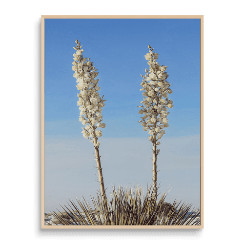 SOAPTREE DUET | Minimalist Nature | Fine Art Print | Photography by Jess Ansik. Item composed of paper in minimalism or rustic style