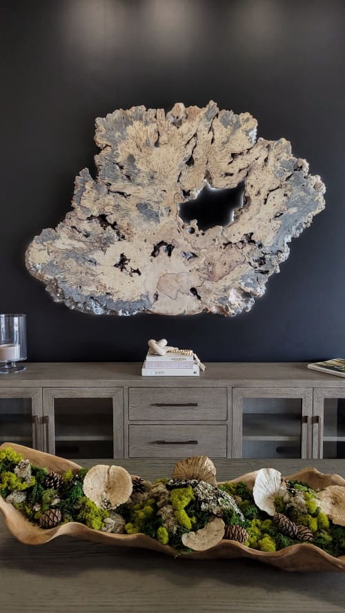 Live Edge Headboard Buckeye Burlwood 50x77" with backlight | Beds & Accessories by Lumberlust Designs | Haute Plank in Scottsdale. Item composed of wood & steel compatible with boho and coastal style