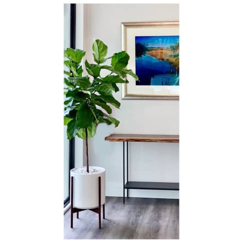 The Twelve w/Black Walnut | Planter in Vases & Vessels by LBE Design | Piante Design in Winter Park. Item made of walnut with ceramic