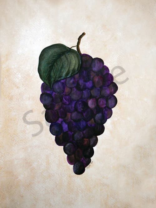Grapes | Prints by LaShonda Scott Robinson. Item made of paper works with contemporary & traditional style