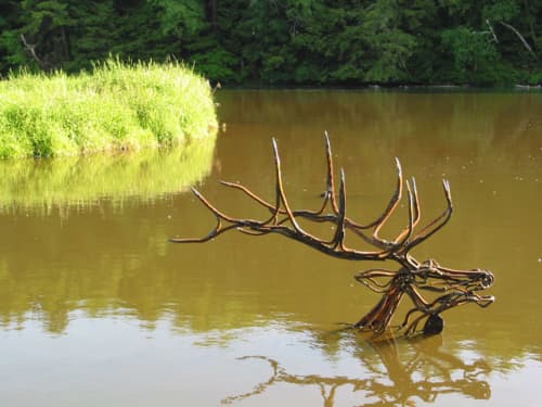 River Elk Swimming | Public Sculptures by Wendy Klemperer Art Inc. Item made of steel