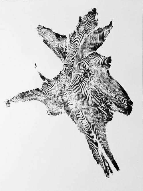 Caribou-Targhee Idaho Tree Roots | Prints by Erik Linton. Item composed of paper in rustic style