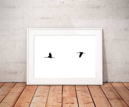 Crane(s) II | Limited Edition Print | Photography by Tal Paz-Fridman | Limited Edition Photography. Item composed of paper in minimalism or country & farmhouse style