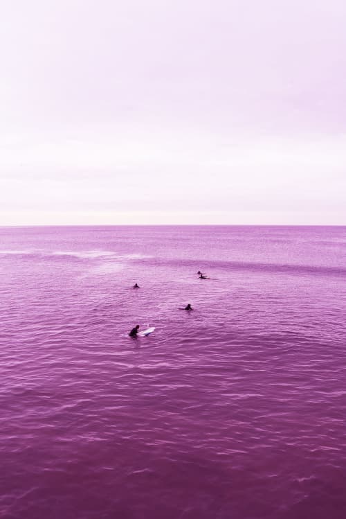 Venice Beach Purple Sea ll | Photography by Robert van Bolderick. Item made of paper works with contemporary style
