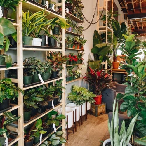 Revival Ceramics Planter | Vases & Vessels by LBE Design | Urban Sprouts in Renton. Item composed of ceramic