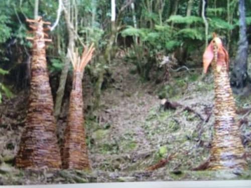 Carbon Credits | Public Sculptures by Dave Fowell. Item composed of wood